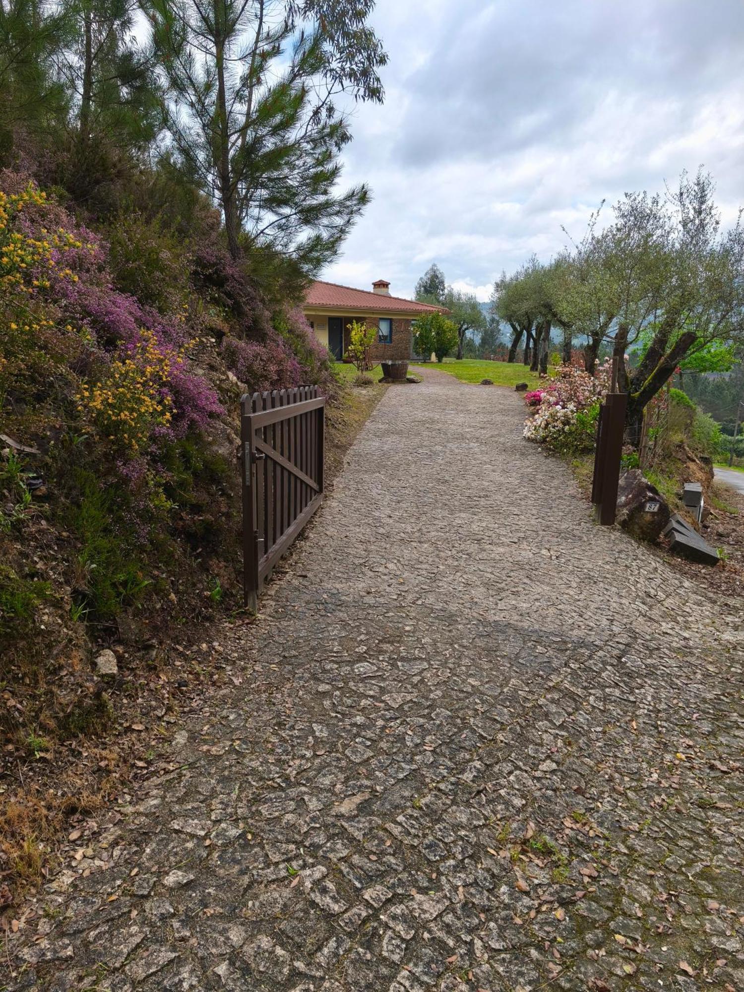 Boavista Country Houses No 87 كابيسيراس دى باستو المظهر الخارجي الصورة